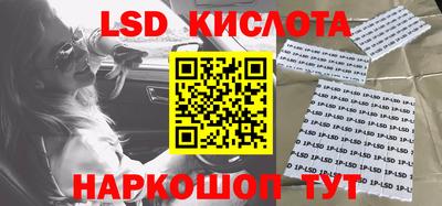 шишки Обь