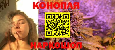 шишки Обь