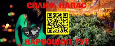 шишки Обь