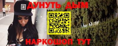 шишки Обь